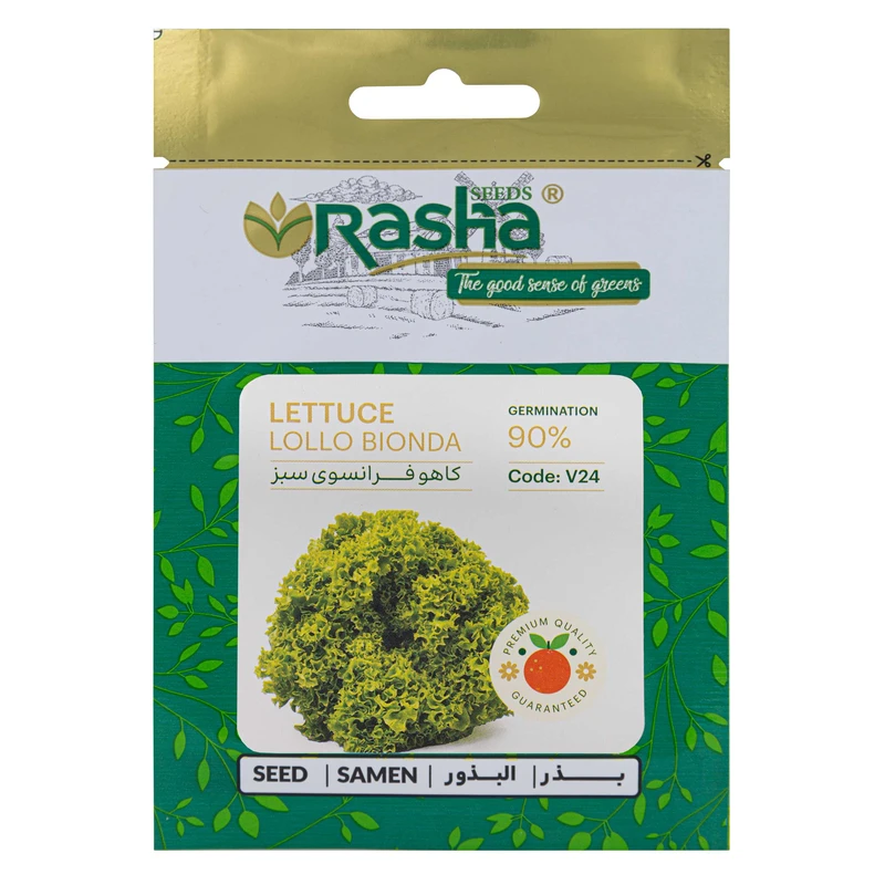 بذر کاهو فرانسوی سبز راشا مدل V24-24