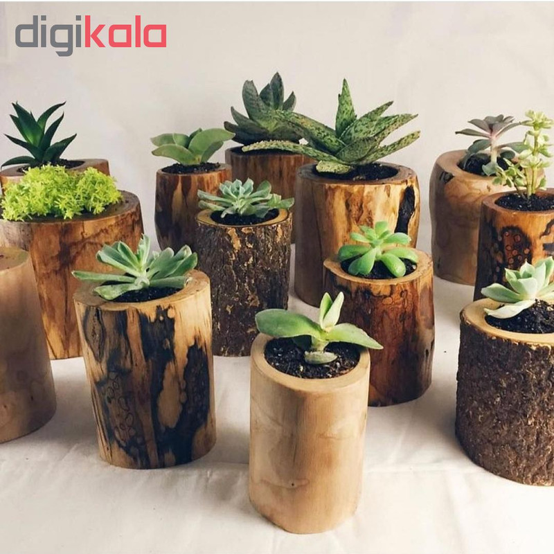 گلدان مدل G-m-0002