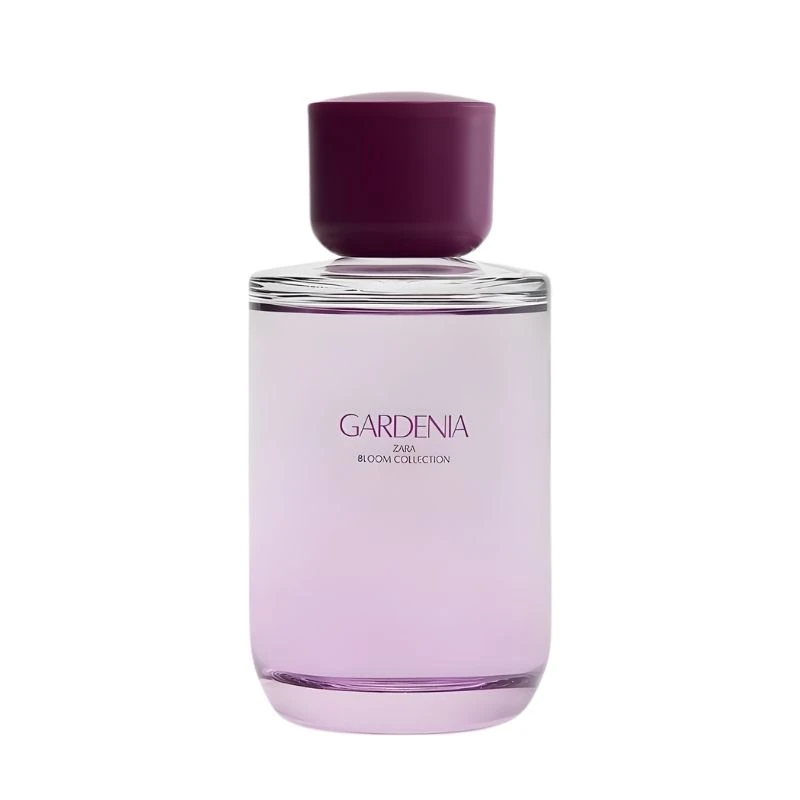 ادوپرفیوم زنانه زارا مدل Gardenia با رایحه گرم حجم 180 میلی‌لیتر