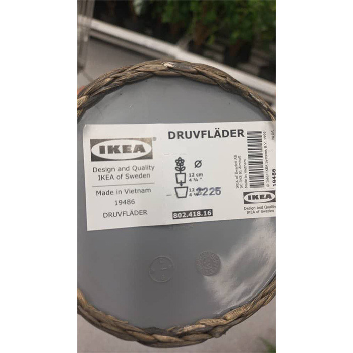 گلدان ایکیا مدل DRUVFLÄDER گلدان ایکیا مدل DRUVFLÄDER