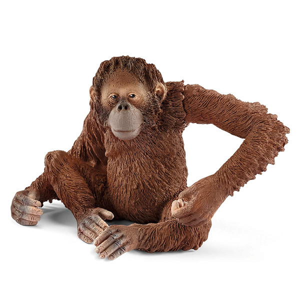 فیگور مدل Orangutan کد 14775