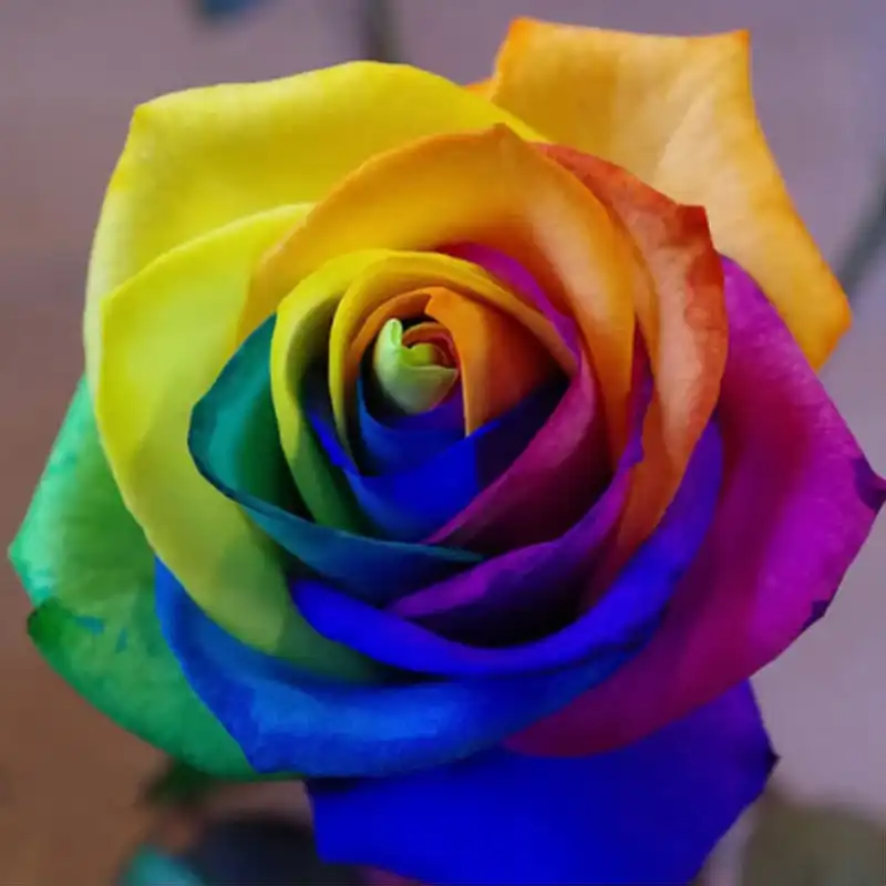 تابلو کاشی طرح گل رنگی کاری مدل RG 1039