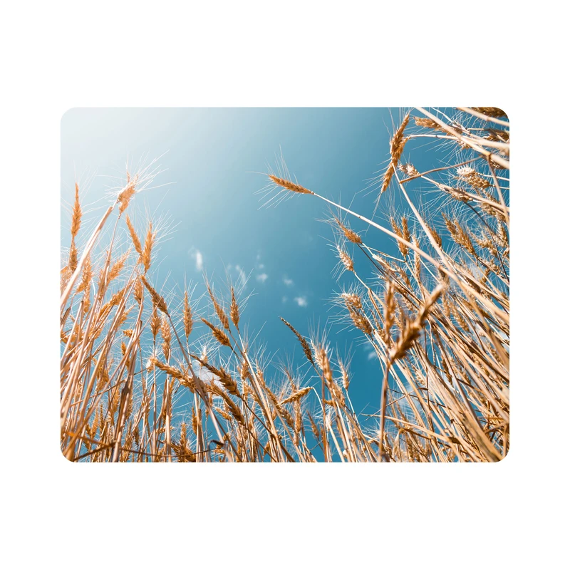 ماوس پد اطلس آبی طرح آسمان و مزرعه گندم مدل T1789