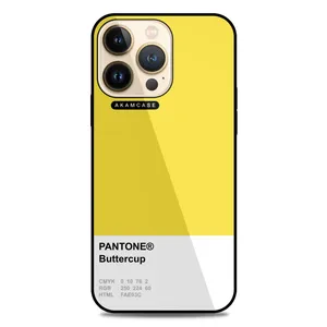 AKAM AMC-WA13PRO-PANTONE-13 Cover For Apple iPhone 13 Pro