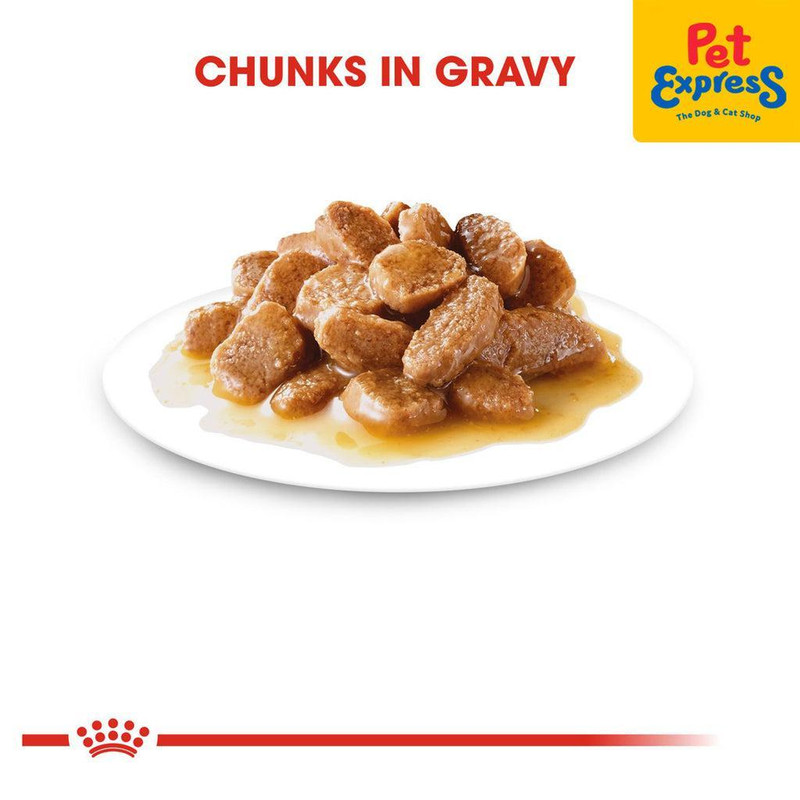 غذای پوچ سگ رویال کنین مدل مینی اس وزن 85 گرم