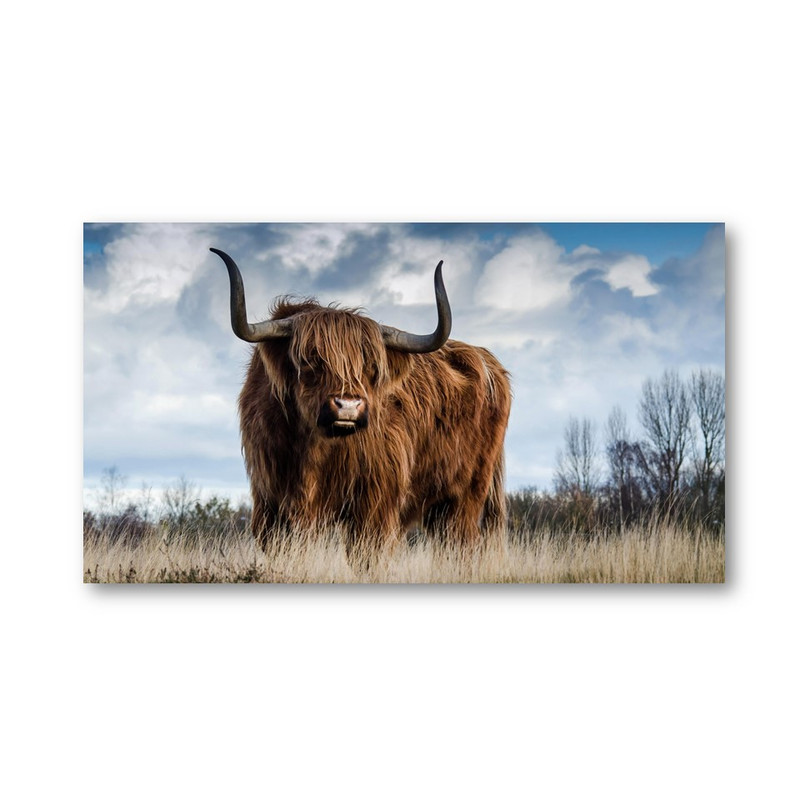 تابلو شاسی مدل گاو کد 4