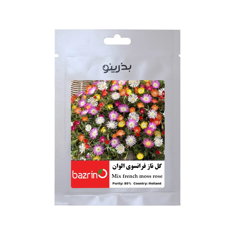 بذر گل ناز فرانسوی الوان بذرینو کد BZNO-015