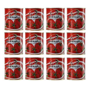 رب گوجه فرنگی ماهوند _800 گرم بسته 12 عددی