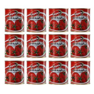 رب گوجه فرنگی ماهوند _800 گرم بسته 12 عددی