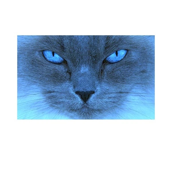   پادری مدل حیوانات کد HSHMA0042 سایز 76x46 سانتی متر