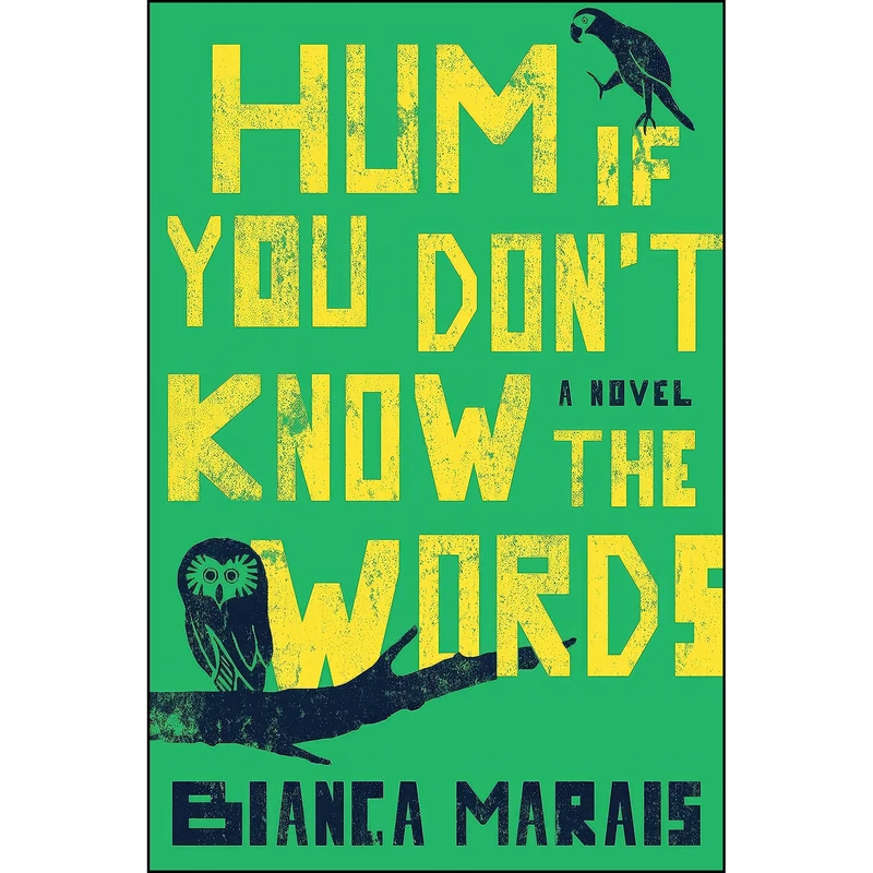 کتاب Hum If You Dont Know the Words اثر Bianca Marais انتشارات G.P. Putnams Sons