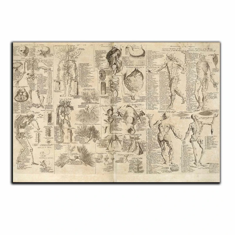 تابلو شاسی بکلیت طرح تاریخ نگاره مصر باستان مدل SH-S5284