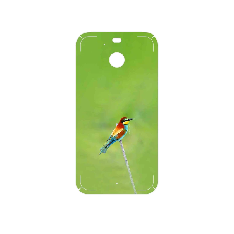 برچسب پوششی ماهوت مدل European bee-eater مناسب برای گوشی موبایل اچ تی سی 10 Evo