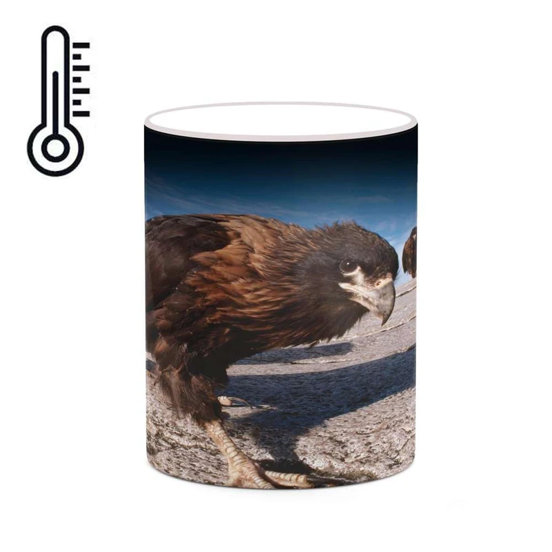 ماگ حرارتی کاکتی مدل عقاب کد mgh19243