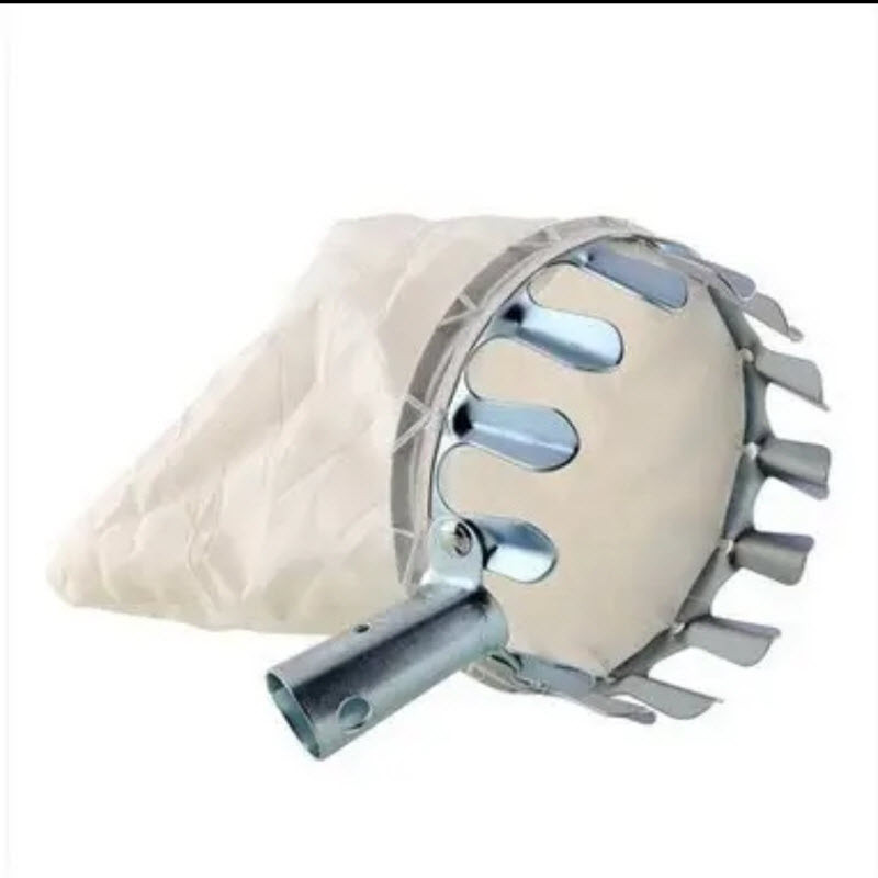 میوه چین مدل سبدی کد B5214