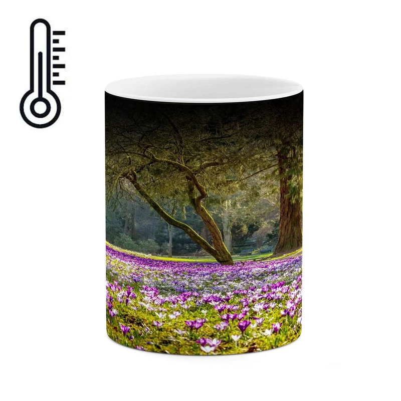 ماگ حرارتی کاکتی مدل منظره کد mgh15324