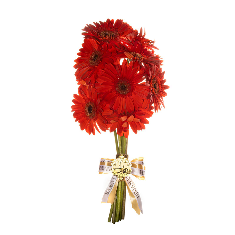 دسته گل طبیعی ژربرا قرمز هیمان کد 1116