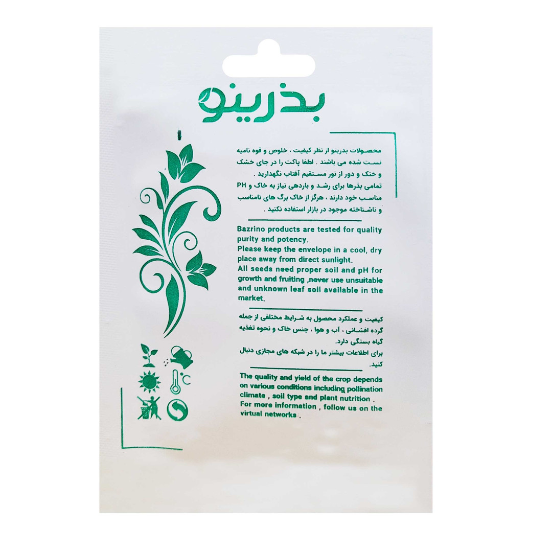 بذر گوجه فرنگی بوته ای زودرس F1 بذرینو کد 154