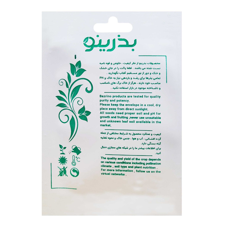 بذر هویج نانتیس بذرینو کد BZNO-170