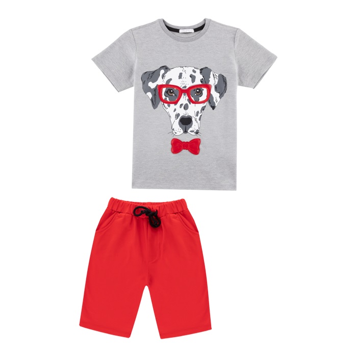 ست تی شرت و شلوارک پسرانه فیورلا مدل سگ پاپیون 43059