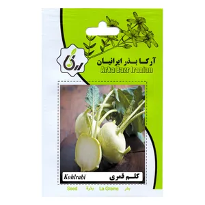 بذر کلم قمری آرکا بذر ایرانیان مدل B80