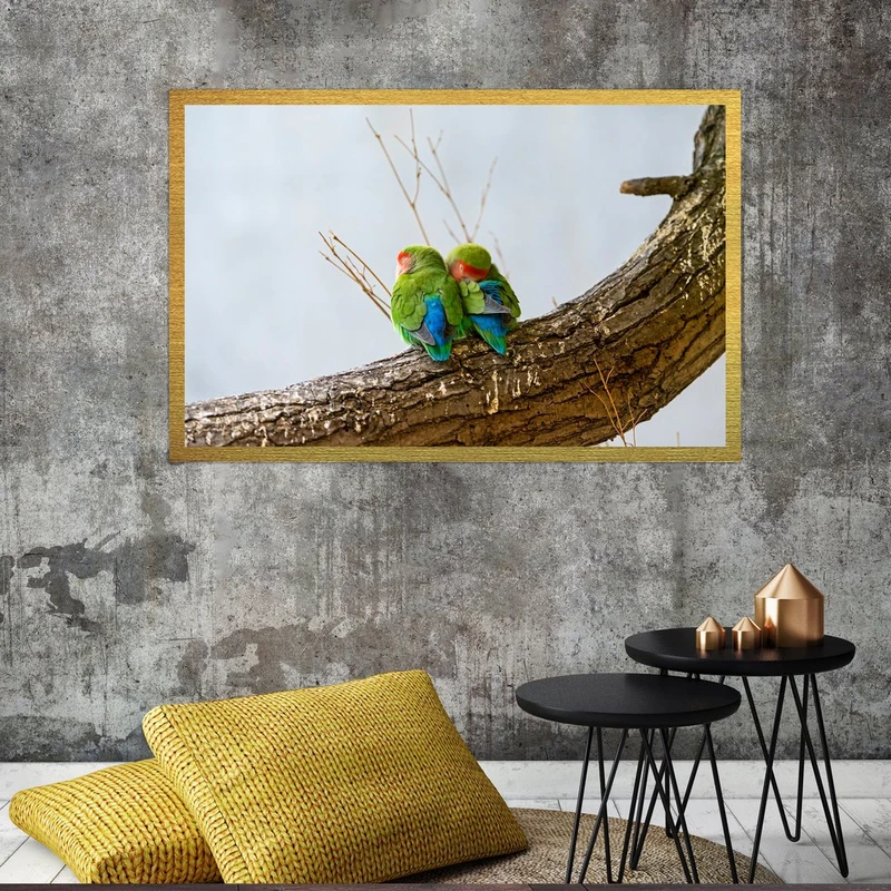 تابلو بکلیت طرح طوطی برزیلی مدل قاب شاسی T-S7471