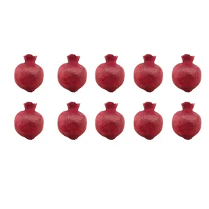 دکوری مدل انار خشک بسته 10 عددی