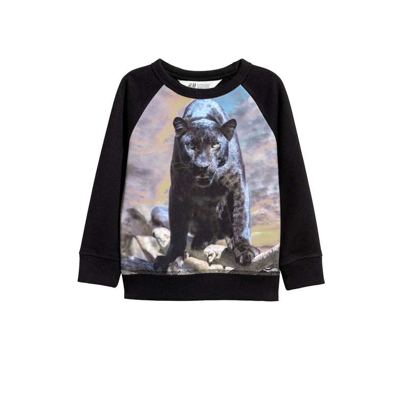 سویشرت پسرانه اچ اند ام مدل 75527005