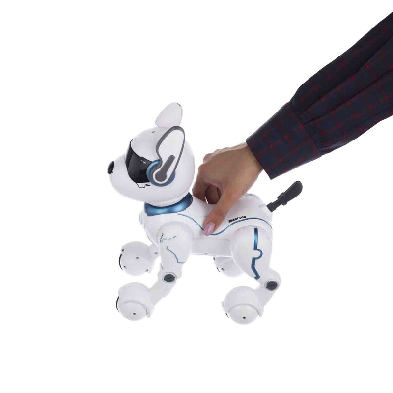 ربات کنترلی مدل لیدی کد 2022