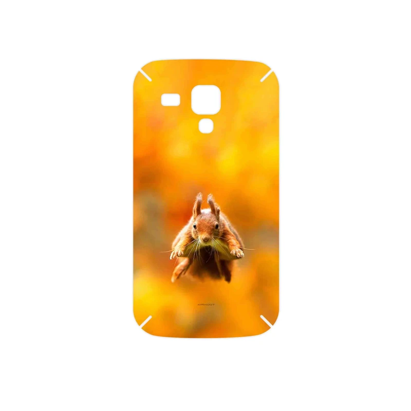 برچسب پوششی ماهوت مدل Squirrel مناسب برای گوشی موبایل سامسونگ Galaxy S Duos GT S7562