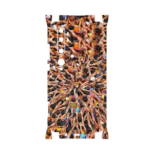 MAHOOT Indian Celebration-FullSkin Cover Sticker for Xiaomi Mi Note 10 Pro