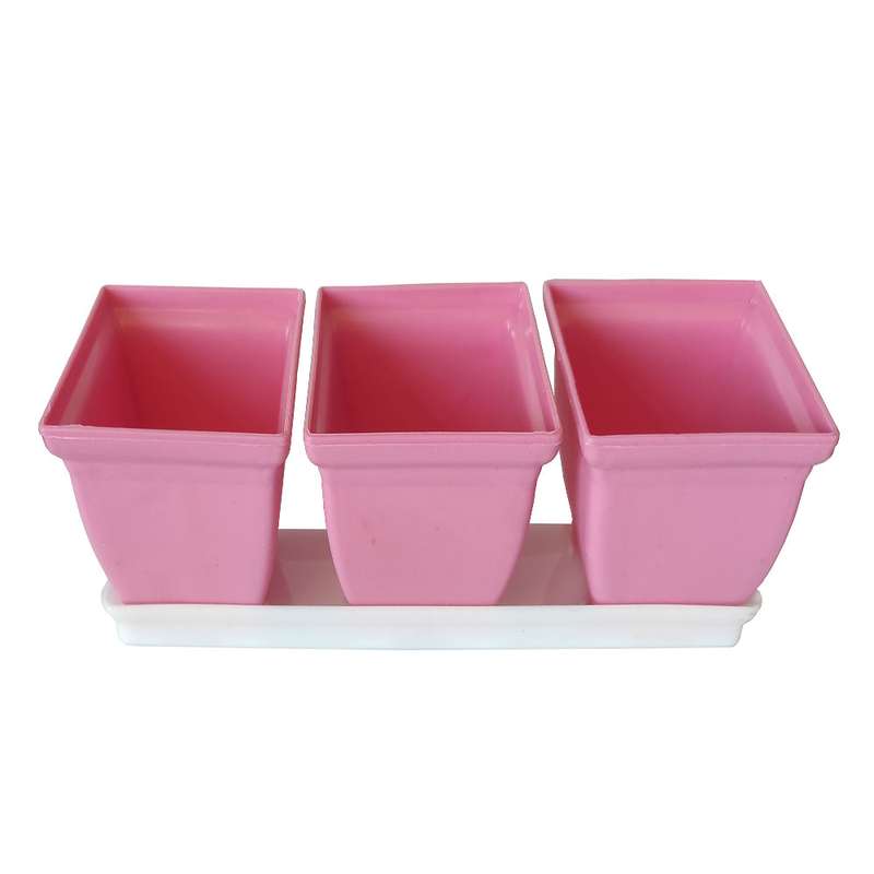 سینی نشا مدل جوانه 3تایی