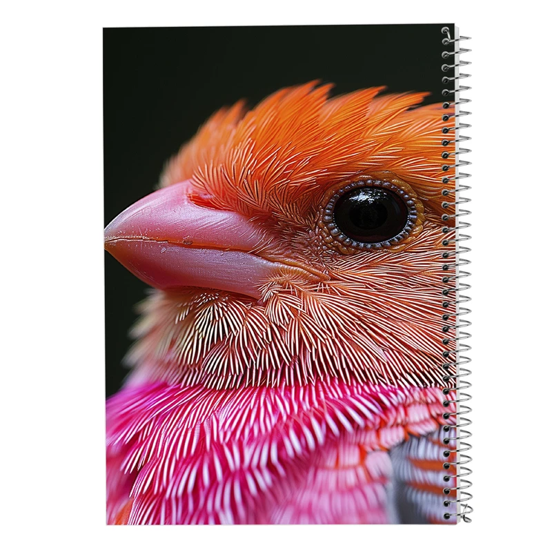 دفتر شطرنجی 50 برگ مدوپد مدل جوجه کد DF14676