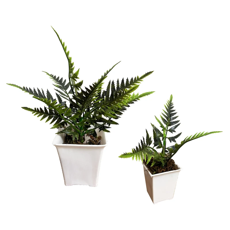 گلدان به همراه گل مصنوعی مدل برگ کاجی  مربعی321 مجموعه 2 عددی  