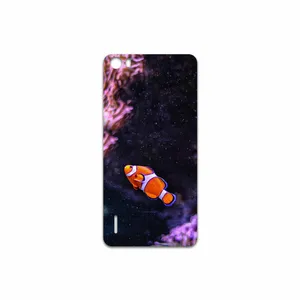 MAHOOT Clownfish Cover Sticker for Honor 6