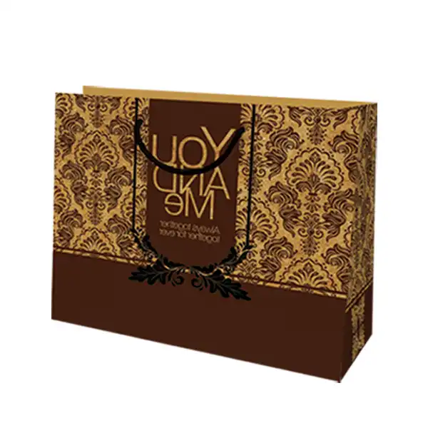 ساک دستی مدل 10219 بسته 12 عددی