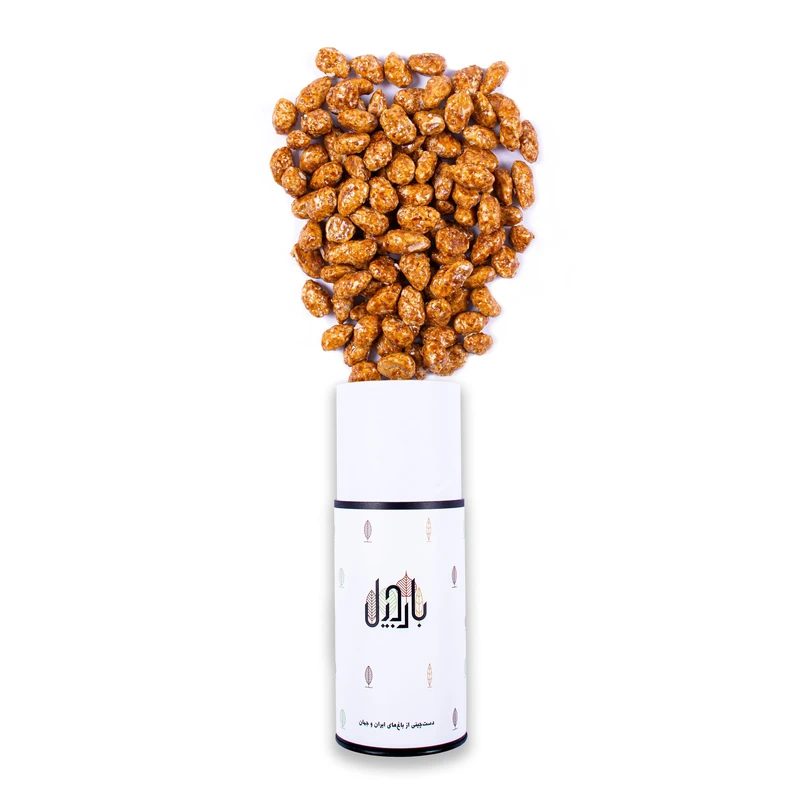 بادام سوخته بارجیل-250 گرم