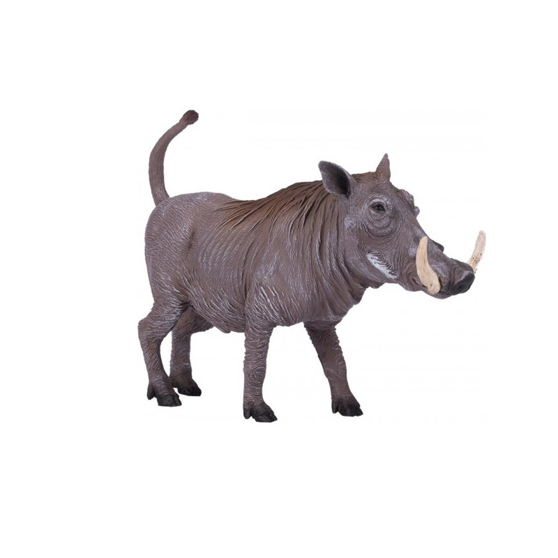 فیگور مدل گراز Y1013