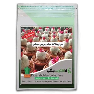 بذر اپیتلانتا میکرومریس میکس کاکتوسچی مدل AM-011