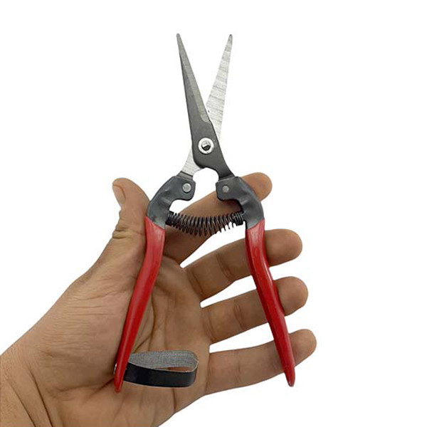 قیچی میوه چینی مدل Pruning Scissors