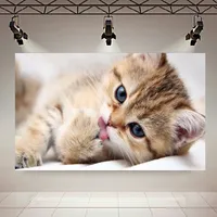 پوستر طرح گربه مدل چشم آبی کد AR21270