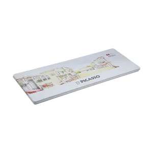 Picasso Artists Color Pencil Pack of 48