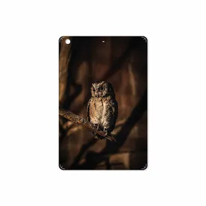 MAHOOT Owl Cover Sticker for Apple iPad mini 2 2013 A1489