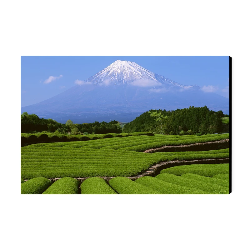 تابلو شاسی عرش مدل فانتزی منظره طبیعت کد As5012