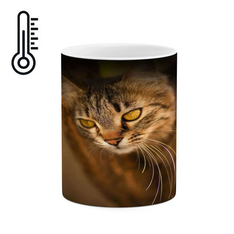 ماگ حرارتی کاکتی مدل گربه کد mgh14820