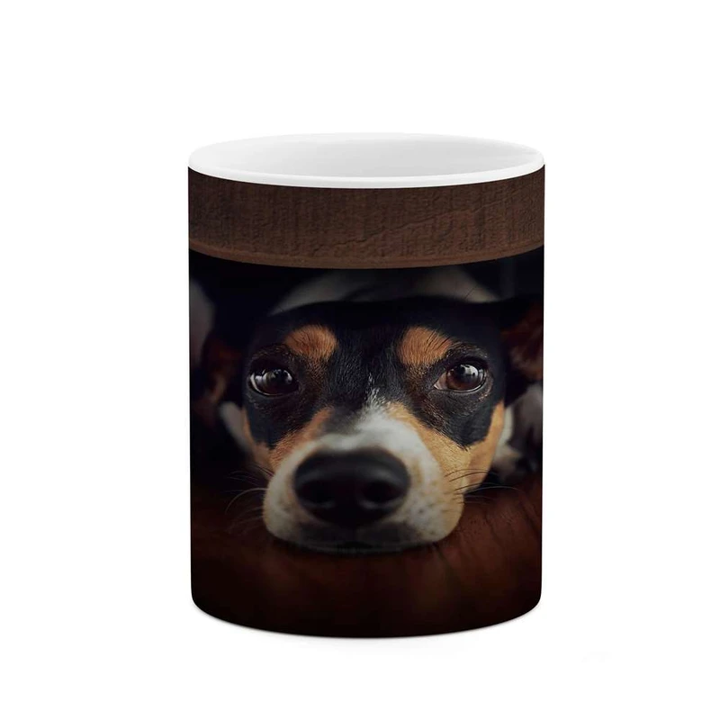 ماگ کاکتی مدل سگ کد mgh16607