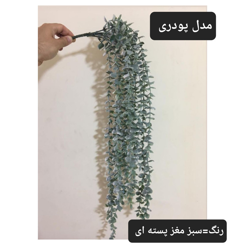 گل مصنوعی مدل آویز شمشاد برفی کد PAL.5550 گل مصنوعی مدل آویز شمشاد برفی کد PAL.5550