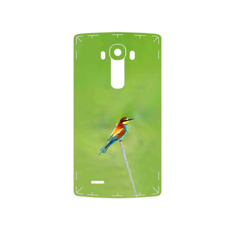 برچسب پوششی ماهوت مدل European bee-eater مناسب برای گوشی موبایل ال جی G4