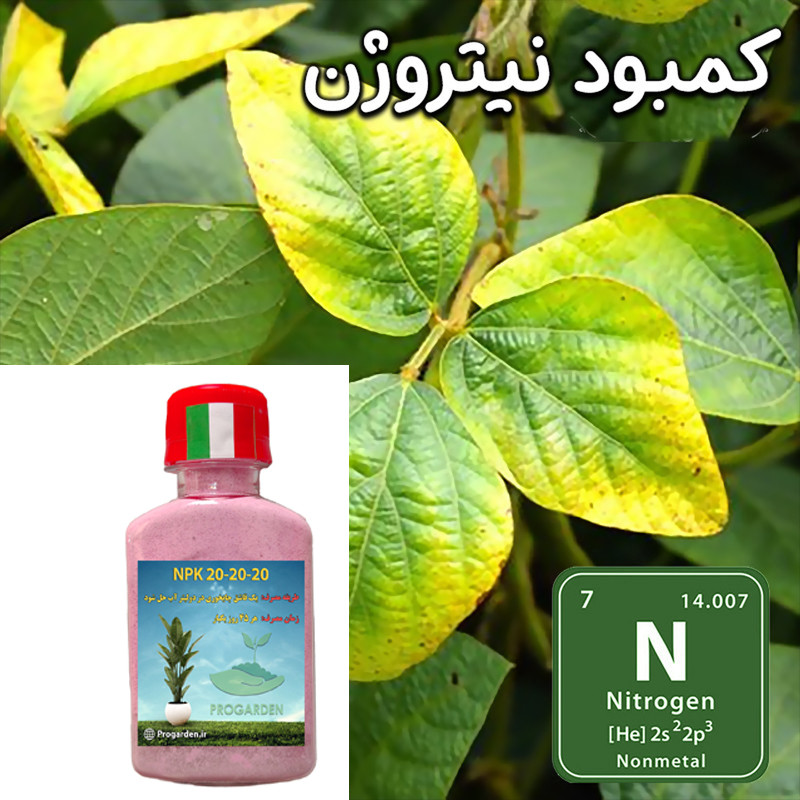 کود کامل گیاهان آپارتمانی سه بیست پروگاردن مدل NPK کد 20-20-20 وزن 60 گرم کود کامل گیاهان آپارتمانی سه بیست پروگاردن مدل NPK کد 20-20-20 وزن 60 گرم