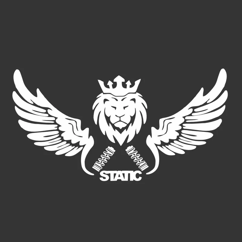 بدنه خودرو ونگارد طرح شیر استاتیک کد So14